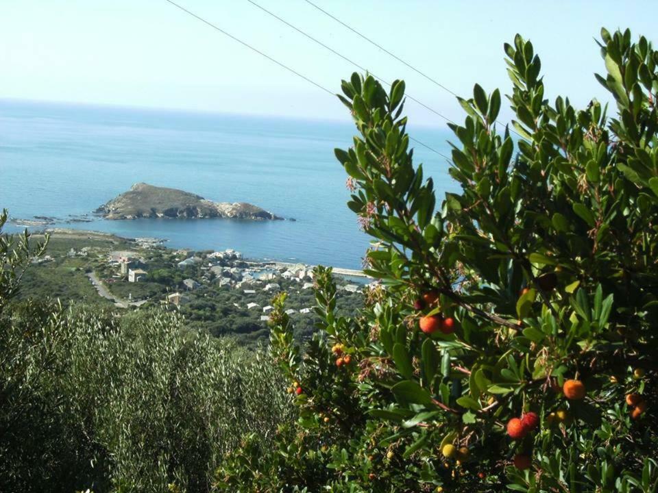 Porteo - Les Terrasses Du Port Centuri Bagian luar foto