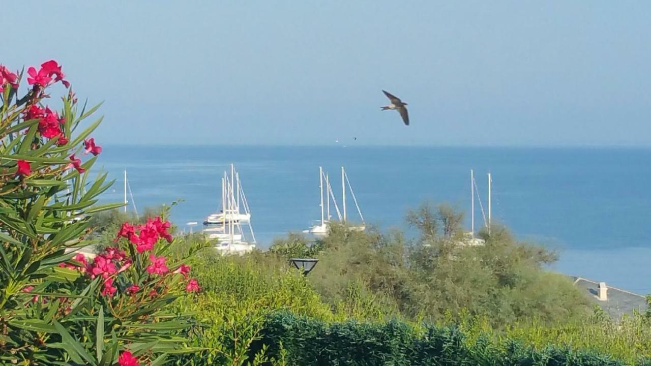 Porteo - Les Terrasses Du Port Centuri Bagian luar foto